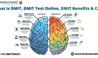 What is DMIT Test
